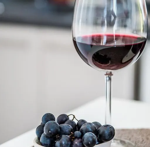 Apartment Chez Barbara Beaune (Cote d'Or)